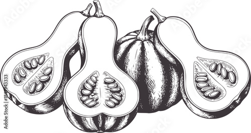 Three halved butternut squashes with seeds in monochrome line