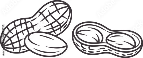 Three peanuts in shell and open peanut shell line