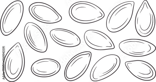 Various sunflower seeds line in monochrome outline style