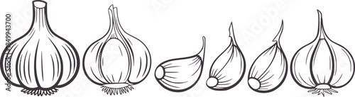 Whole and peeled garlic cloves black and white line