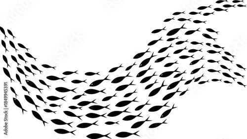 School of fish swimming together in unison