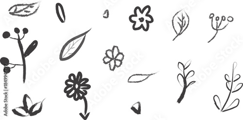 A collection of hand drawn floral and leaf illustrations in black and white