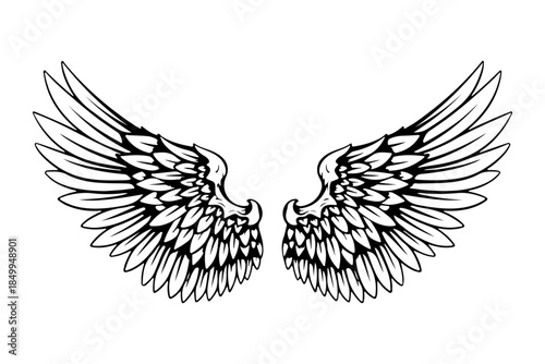 Detailed Drawing of Angel Wings, a Symbol of Protection, Freedom, and Spirituality