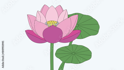Pink Lotus Flower with Green Leaves.