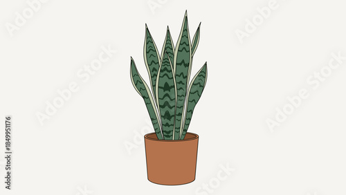 Potted Snake Plant with Green Leaves 1.
