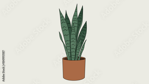 Potted Snake Plant with Green Leaves.