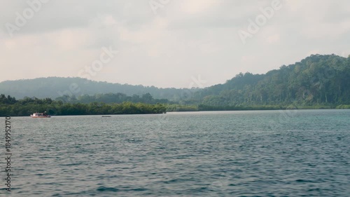 calm tropical sea with mangrove forest and distant hills