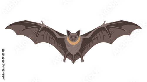 Cartoon illustration of a brown bat with wings spread, showcasing its furry body and detailed wing structure.