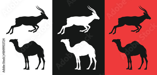 Animal silhouettes on colorful backgrounds