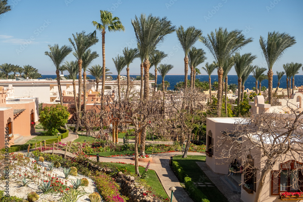 Fototapeta premium Tropical Landscape Featuring Palm Trees and Ocean View in a Luxurious Resort During a Sunny Day