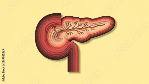 World Pancreatic Cancer Day WPCD Anatomical illustration of the human pancreas and its ductal system, a vital organ for digestion and hormone production