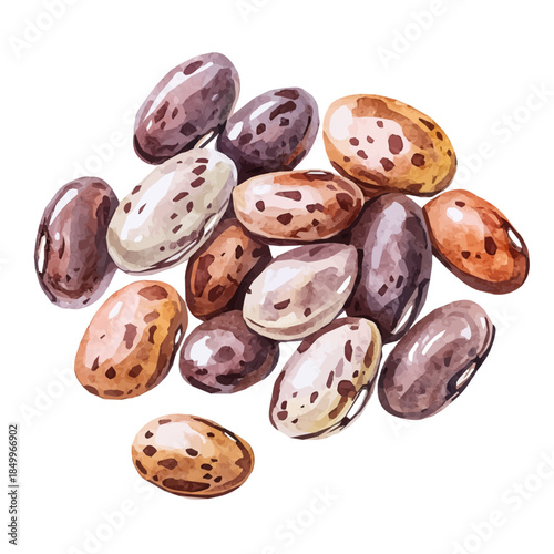 Watercolor type, An Imaginary Minimalistic 2D flat icon pinto beans set, modern element in vector and EPS format, isolated on a white background, Simple illustration