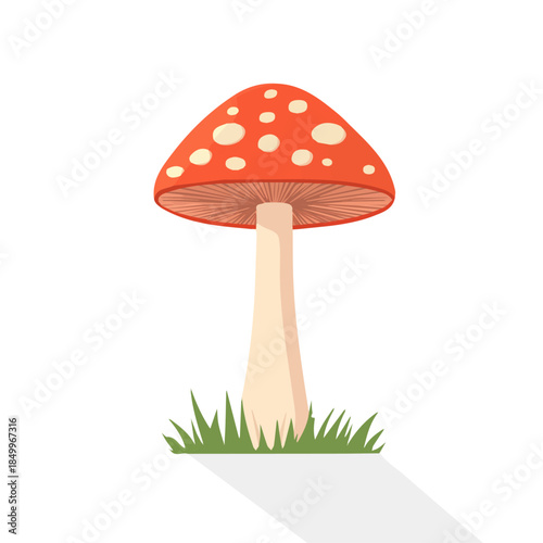 modern element in vector and EPS format, clean vector isolated on a white background, An Icon clipart set, An Imaginary 2D flat icon mushrooms wild