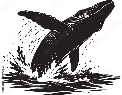 A silhouette of whale breaching surface, majestic scene, black vector