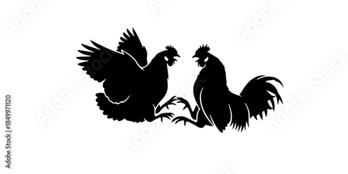 Two chickens fighting silhouette
