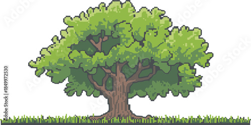 Pixel art oak tree illustration, lush green foliage nature landscape asset, retro game style, isolated white background design