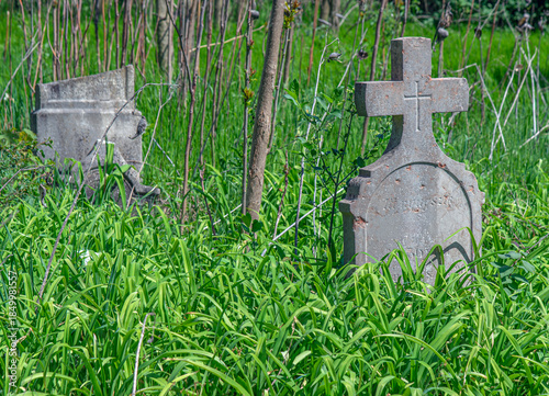 Vieux cimetière abandonné à Nyáregyháza, Hongrie