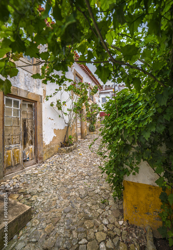 Rue pavée dans le vieux village médiéval d'Óbidos, Portugal