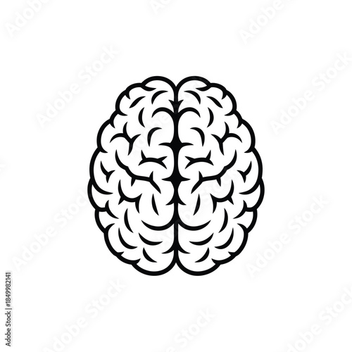 Detailed illustration of a human brain showcasing complex cortical convolutions