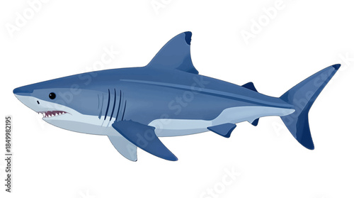 Cartoon Great White Shark Illustration