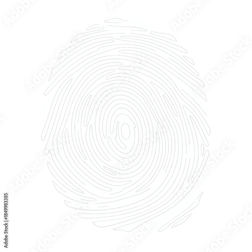 Detailed Human Fingerprint Isolated