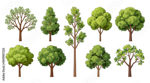 Set of nine different green illustrative trees