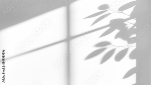 Foto shadow overlay effect of natural tree leaves shadow and window shadow over on wh