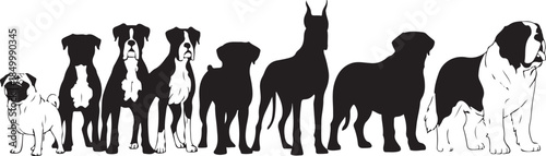 Silhouettes of various dog breeds in order of size