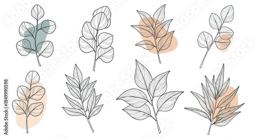 Collection of botanical line art illustrations with eucalyptus and other leaves on abstract pastel shapes for modern wall art.