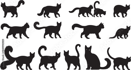 Diverse collection of cat silhouettes in various actions