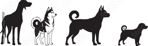 Silhouettes of four different dog breeds standing Keywords: dog, silhouette, breed, great dane
