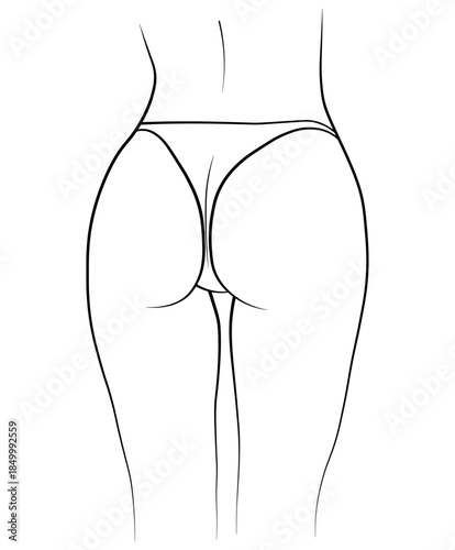 vector illustration of a woman body butt
