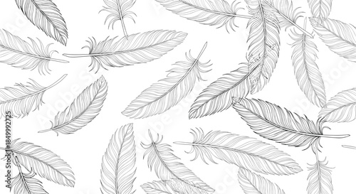 A beautiful seamless pattern of delicately hand-drawn feathers in a detailed line art style floating on a white background.