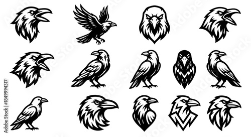 Collection of 13 black and white illustrations of various bird heads and silhouettes on a plain white background.