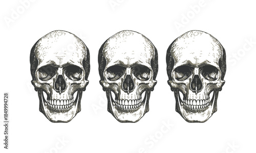 Skull and crossbones on black background illustration