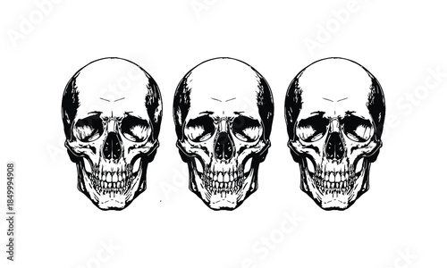 Skull and crossbones skeleton head illustration symbol of death and danger
