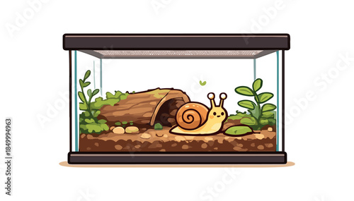 pet snail child gently watching pet snail through terrarium