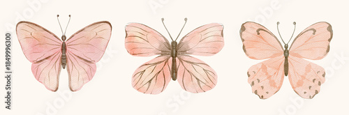 Watercolor pink butterfly set. Romantic nature illustration with soft hand painted details.