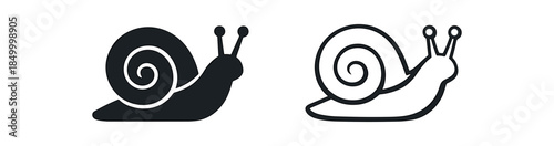 snail snail on rock by stream reflecting soft light