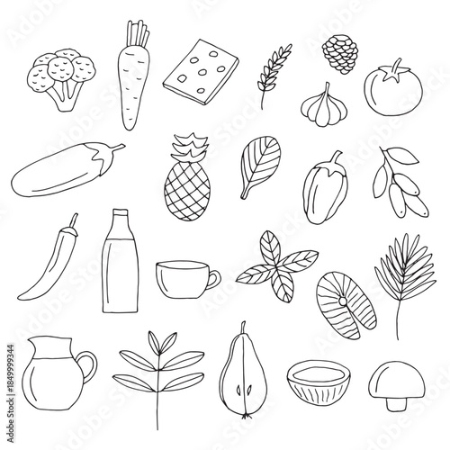 Healthy food set of elements, hand drawing, vector illustration