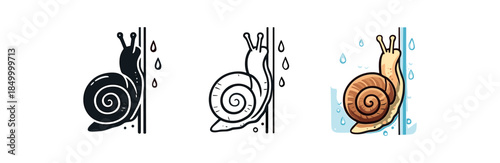 pet snail pet snail climbing terrarium with condensation drops