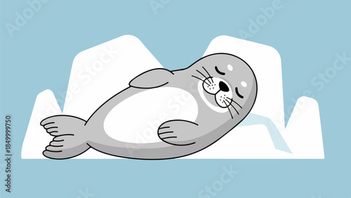 Gray seal resting on its back with flippers raised and head tilted to the side