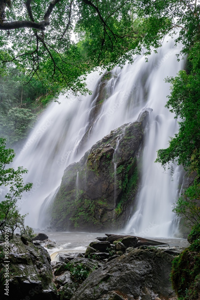Fototapeta premium waterfall in the forest