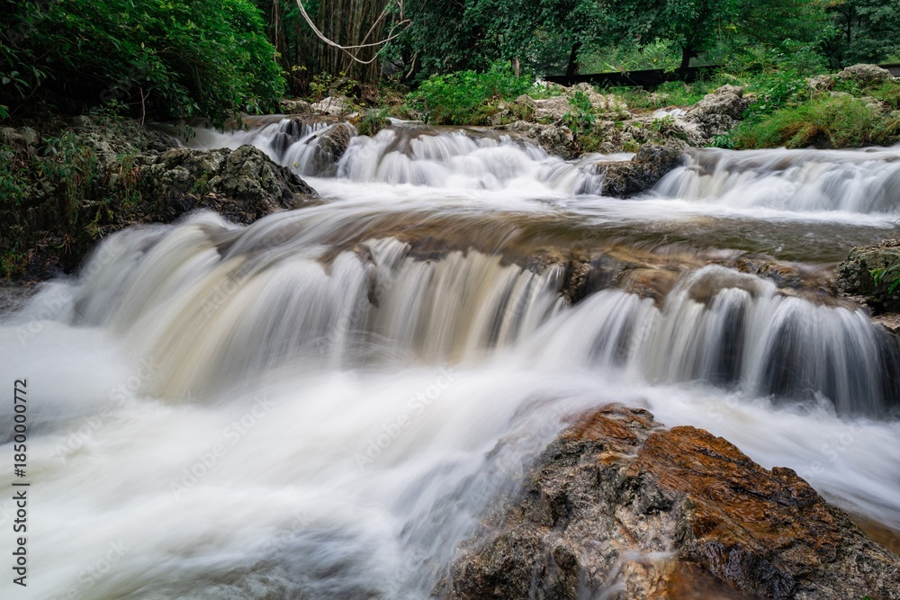 Fototapeta premium waterfall in the forest