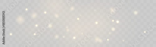 Golden luminous dust drifts softly across the scene. Tiny sparkling particles create calm magical effects. Perfect for minimal holiday and elegant overlays vector