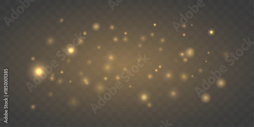 Clean golden dust sparkles softly with radiant highlights. Airy powder adds peaceful luxury and festive elegance. Ideal overlay for cards, banners, and holiday compositions vector