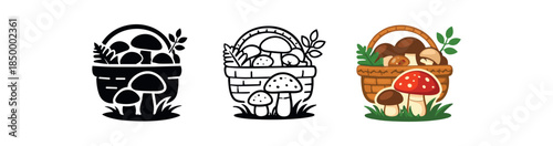 mushroom foraging forest floor with amanita and fallen leaves composition