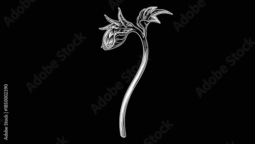 Silver Dragon Head Sculpture on Stem.