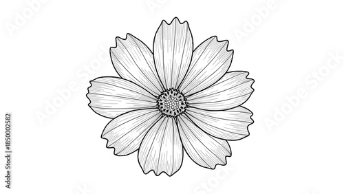 Simple Black and White Flower Illustration 3.