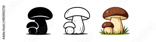 mushroom foraging small tag identifying species name latin text